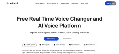 Voice AI